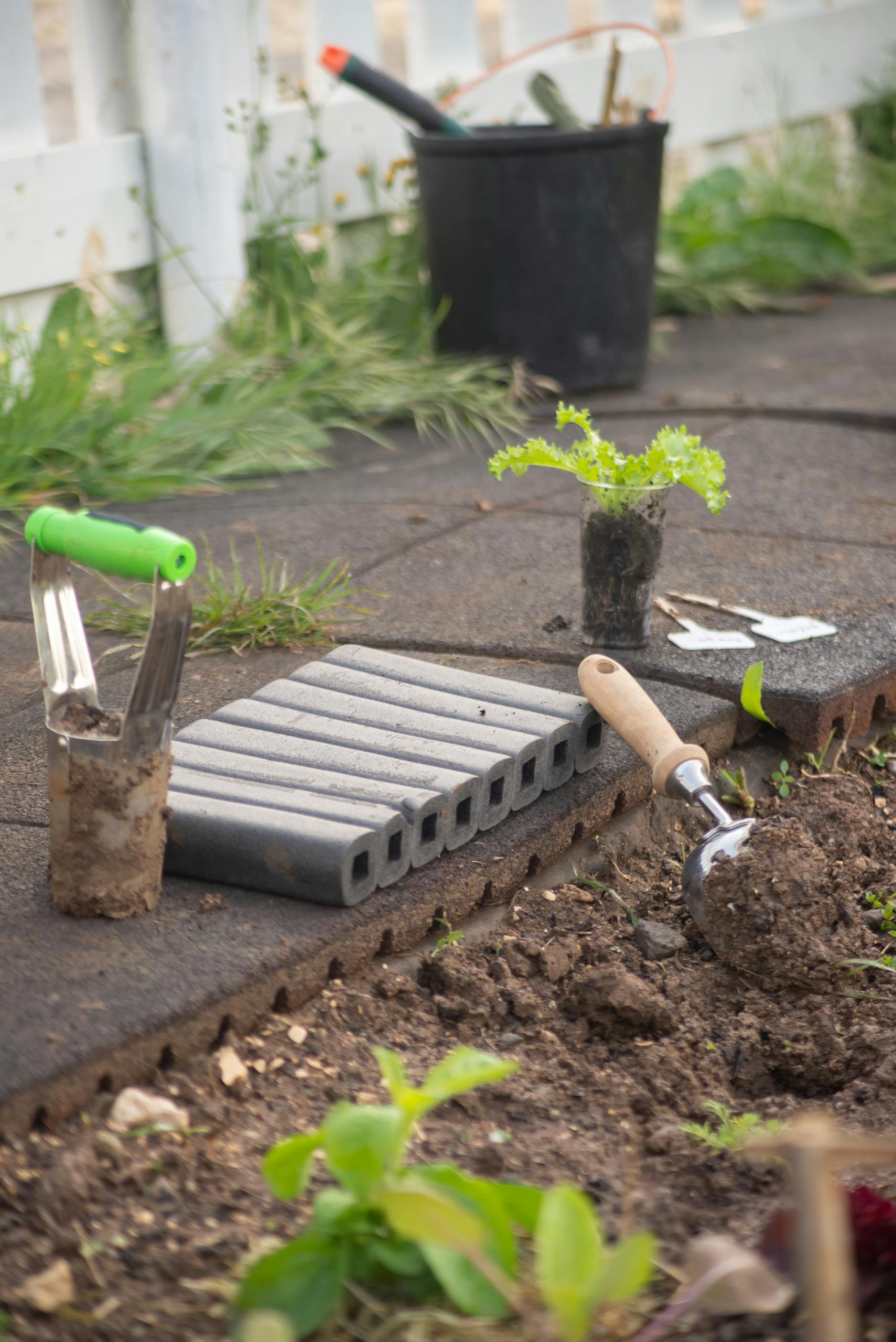 Close-up of gardening tools and a seedling ready for planting outdoors. Ideal for spring gardening tips.